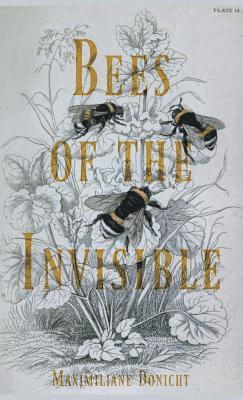 bokomslag Bees of the Invisible