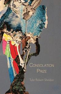 bokomslag Consolation Prize