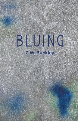 bokomslag Bluing