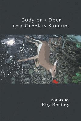 Body of a Deer by a Creek in Summer 1