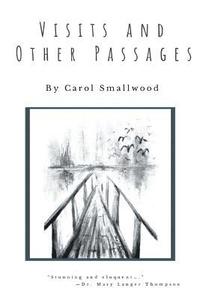 bokomslag Visits and Other Passages