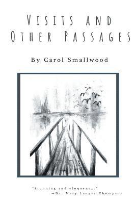 bokomslag Visits and Other Passages