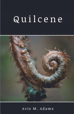 Quilcene 1