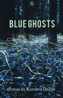 bokomslag Blue Ghosts