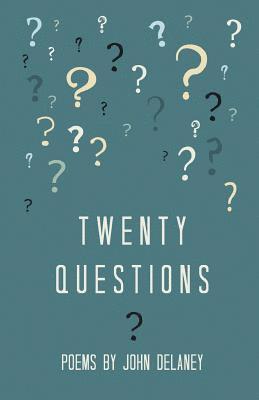 bokomslag Twenty Questions