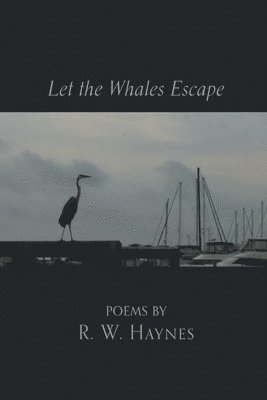 Let the Whales Escape 1