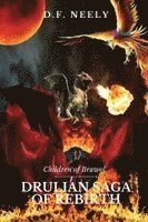 D F Neely, D. F. Neely - Children of Brawol, Häftad