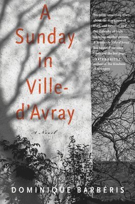 Dominique Barbéris - A Sunday in Ville-d'Avray, Inbunden
