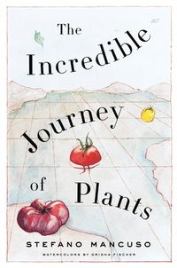 bokomslag The Incredible Journey of Plants