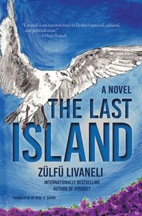 bokomslag The Last Island