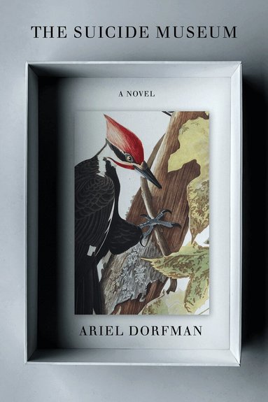 Ariel Dorfman - Suicide Museum, Häftad