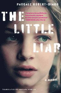 bokomslag The Little Liar