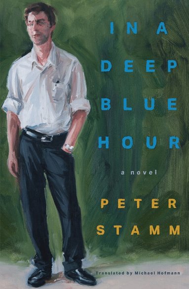 Peter Stamm, Michael Hofmann - In a Deep Blue Hour, Häftad