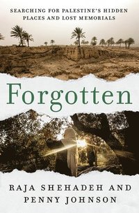 bokomslag Forgotten