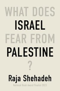 bokomslag What Does Israel Fear from Palestine?
