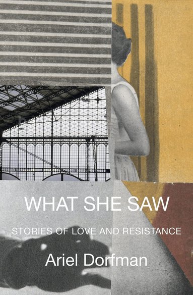 Ariel Dorfman - What She Saw, Häftad