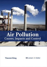 bokomslag Air Pollution: Causes, Impacts and Control