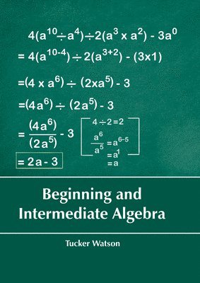 bokomslag Beginning and Intermediate Algebra