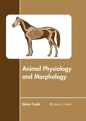 bokomslag Animal Physiology and Morphology