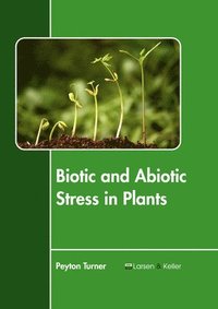 bokomslag Biotic and Abiotic Stress in Plants