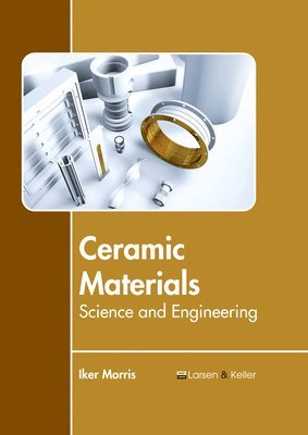 bokomslag Ceramic Materials: Science and Engineering