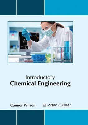 bokomslag Introductory Chemical Engineering