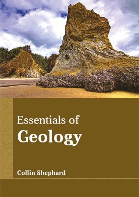 bokomslag Essentials of Geology