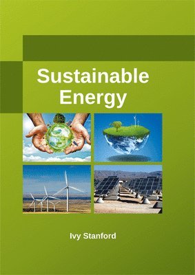 bokomslag Sustainable Energy