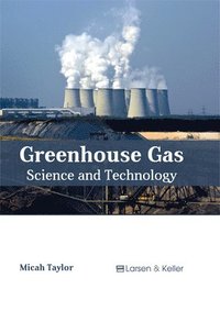 bokomslag Greenhouse Gas: Science and Technology