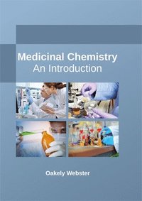 bokomslag Medicinal Chemistry: An Introduction