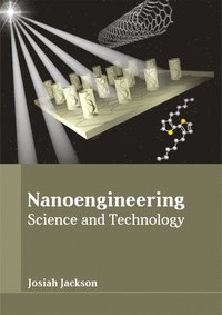 bokomslag Nanoengineering: Science and Technology