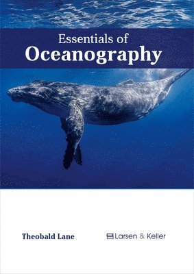 bokomslag Essentials of Oceanography