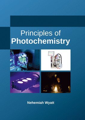 bokomslag Principles of Photochemistry