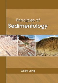 bokomslag Principles of Sedimentology