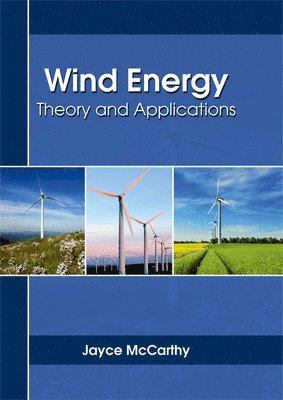 Wind Energy: Theory and Applications 1