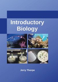 bokomslag Introductory Biology