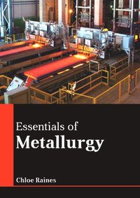 bokomslag Essentials of Metallurgy