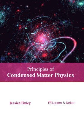 bokomslag Principles of Condensed Matter Physics