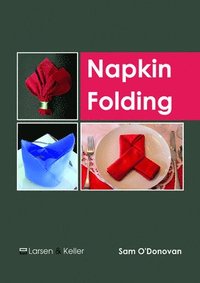 bokomslag Napkin Folding