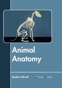 bokomslag Animal Anatomy
