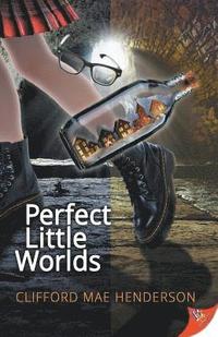 bokomslag Perfect Little Worlds