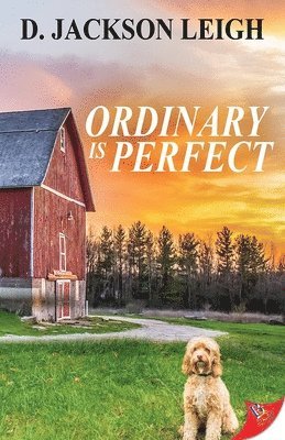 Ordinary Is Perfect 1