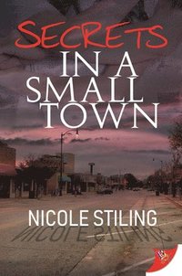 bokomslag Secrets in a Small Town