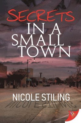 Secrets in a Small Town 1