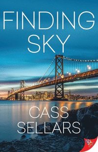bokomslag Finding Sky