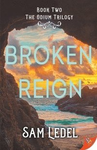 bokomslag Broken Reign