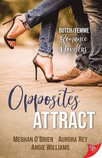 bokomslag Opposites Attract: Butch/Femme Romances