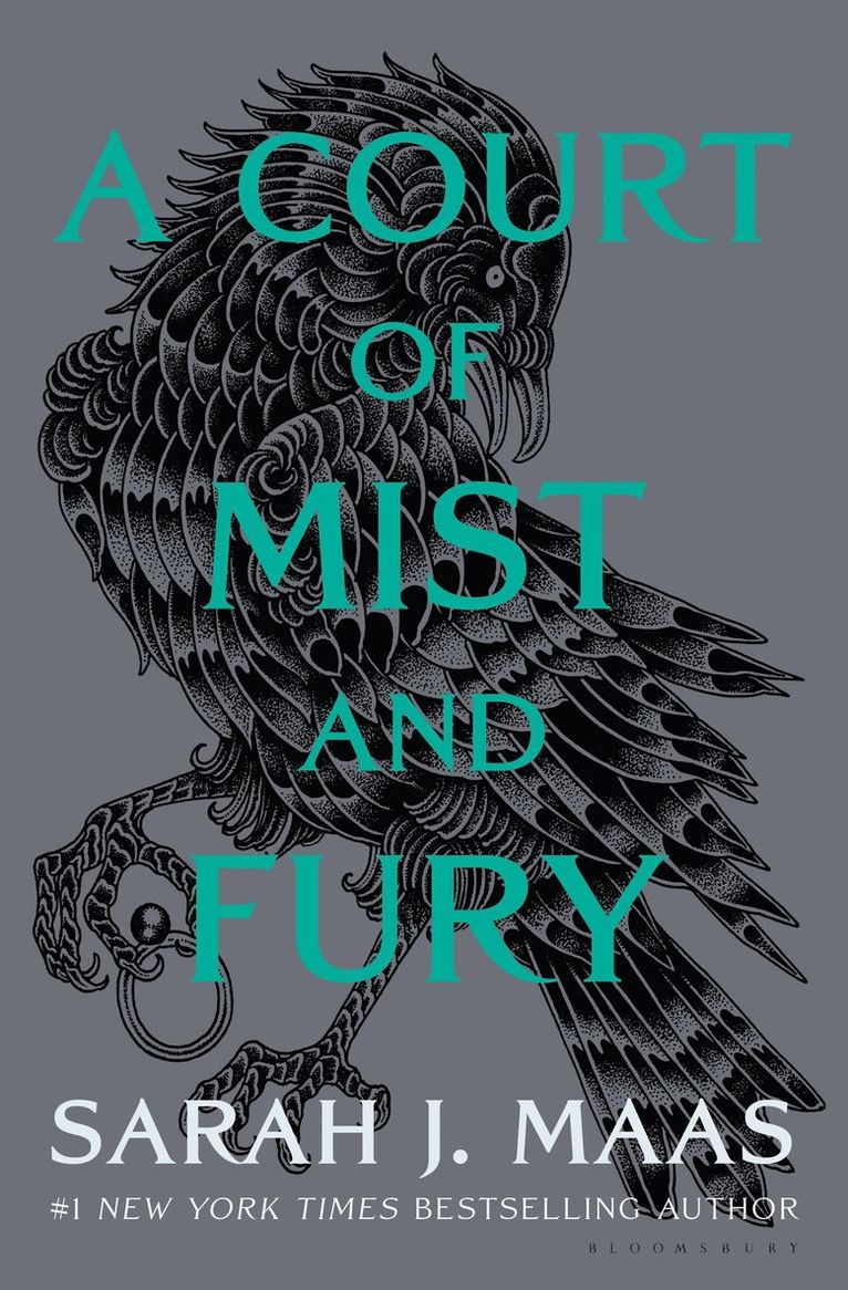 Sarah J. Maas - Court of Mist and Fury, Inbunden