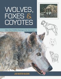 bokomslag Wolves, Foxes & Coyotes (Wildlife Painting Basics)