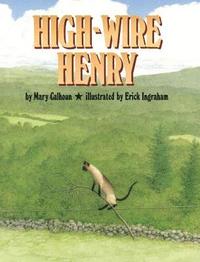 bokomslag High-Wire Henry